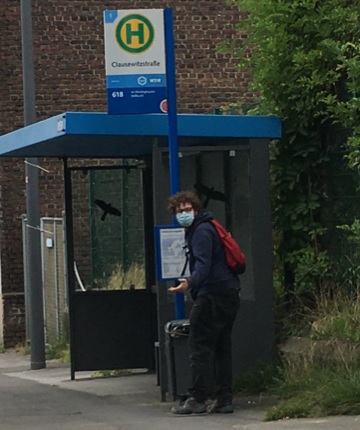 Ein „Antifa“-Lockenkopf beim Abreißen von PRO-Wuppertal-Wahlplakaten.